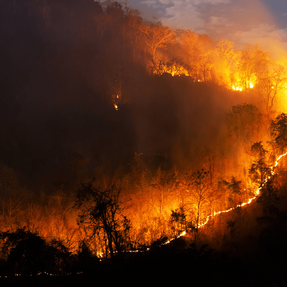 Ember Stopper team preparing wildfire cover system